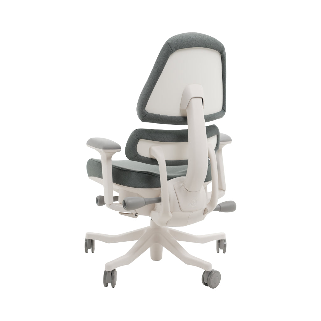 An ergonomic office chair with a high back, adjustable armrests, and a four-wheel base, shown from a rear angle on a white background.