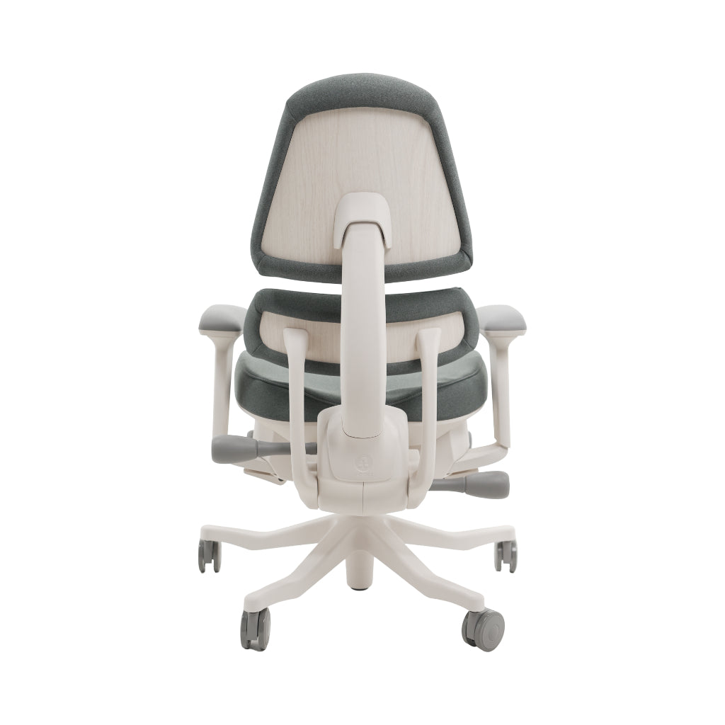 An ergonomic office chair with a high back, adjustable armrests, and a four-wheel base, shown from a rear angle on a white background.