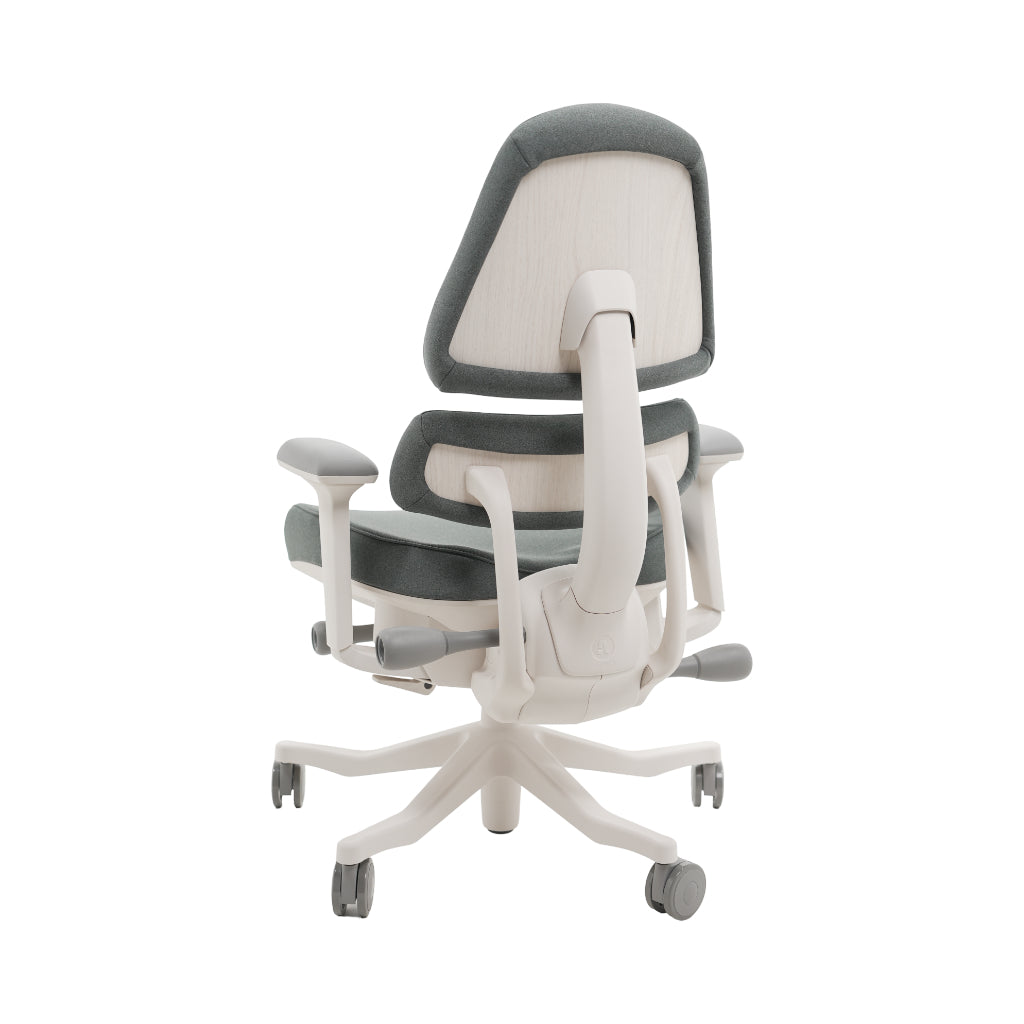 An ergonomic office chair with a high back, adjustable armrests, and a four-wheel base, shown from a rear angle on a white background.