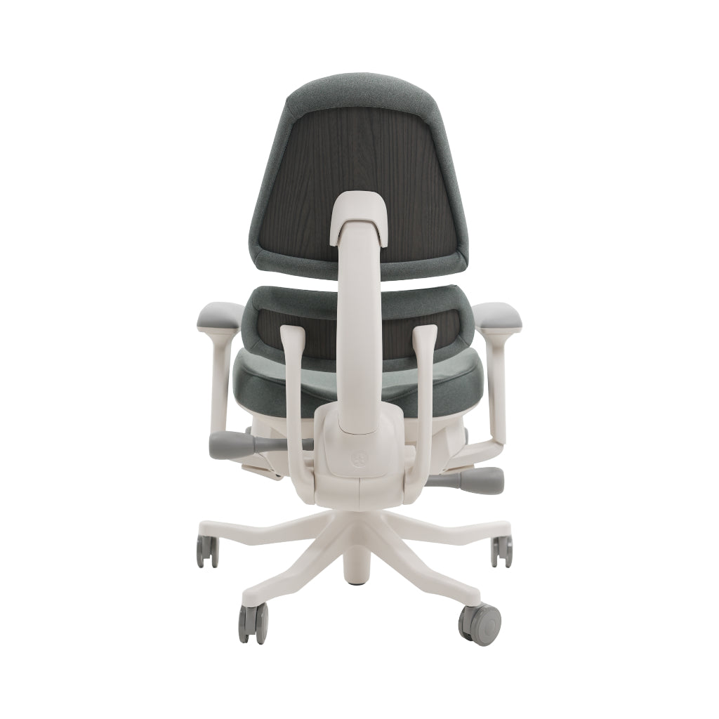 An ergonomic office chair with a high back, adjustable armrests, and a four-wheel base, shown from a rear angle on a white background.