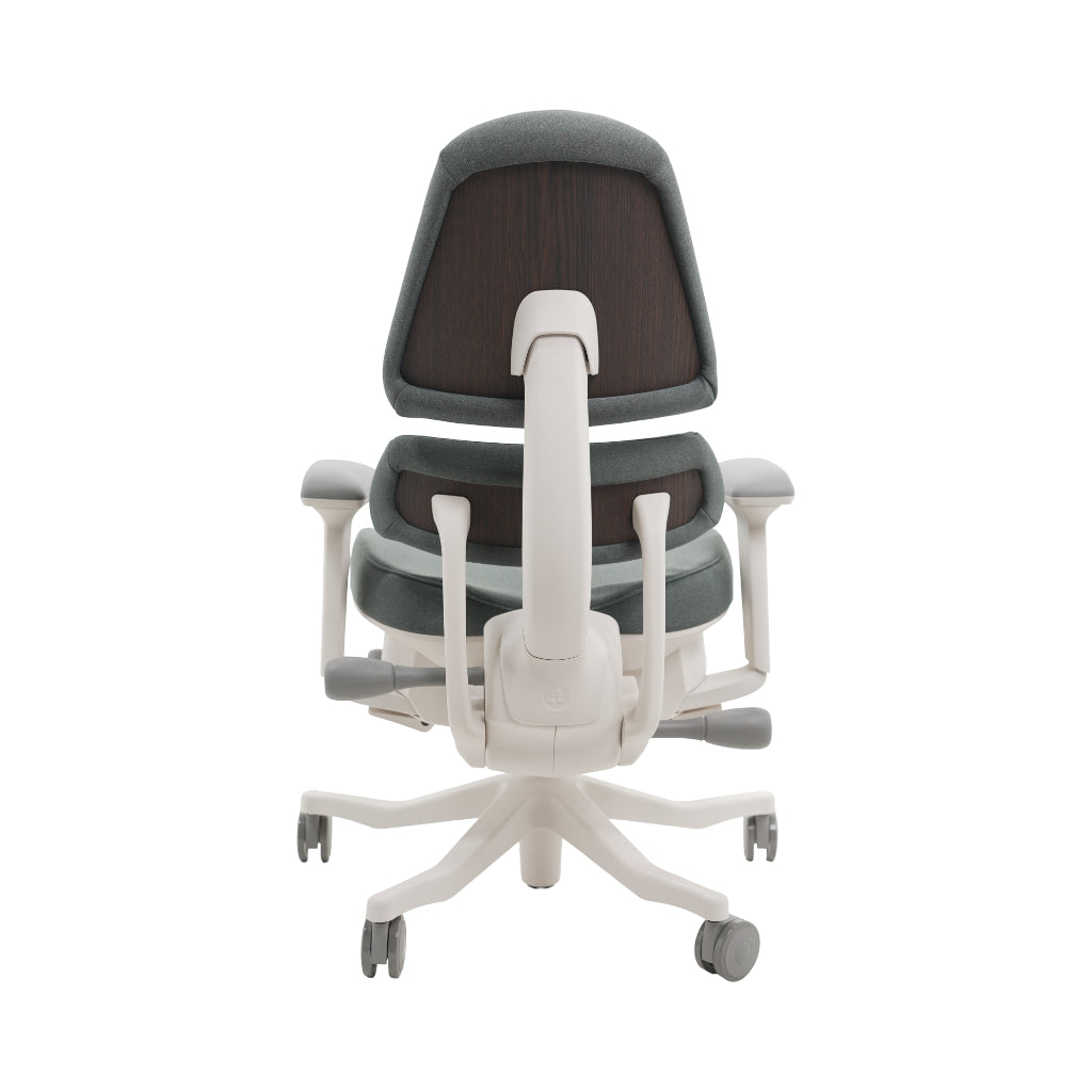 An ergonomic office chair with a high back, adjustable armrests, and a four-wheel base, shown from a rear angle on a white background.