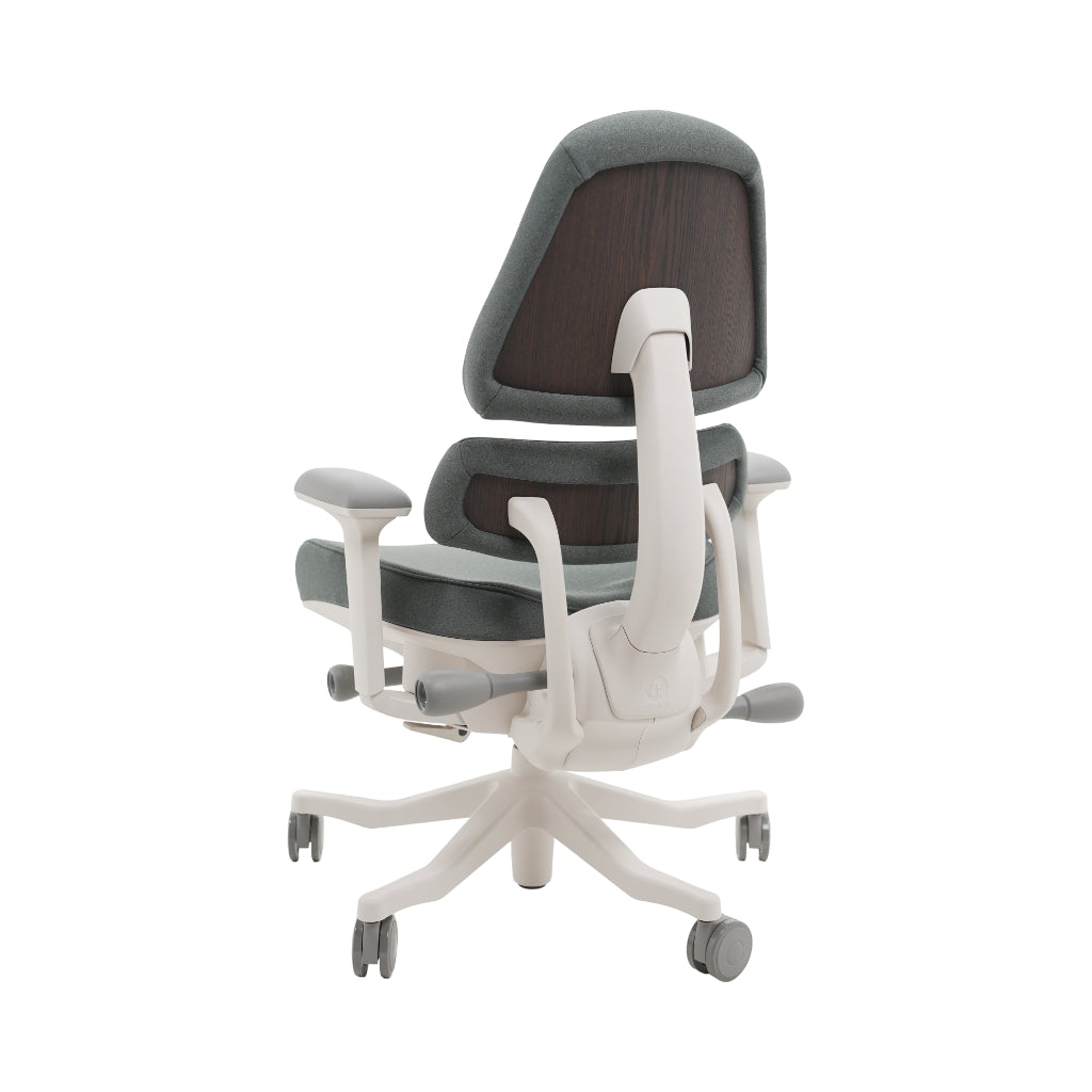 An ergonomic office chair with a high back, adjustable armrests, and a four-wheel base, shown from a rear angle on a white background.