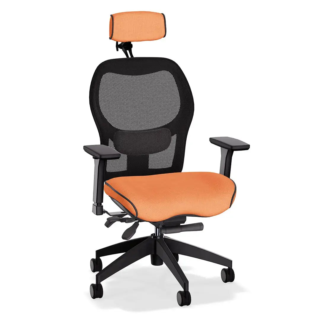 Brezza Ergonomic Mesh Office Chair in Intuition Fabric LIFEFORM®