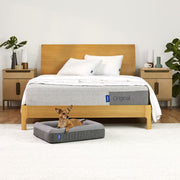 Dog lying on a gray pet bed in front of a wooden bed with white bedding.