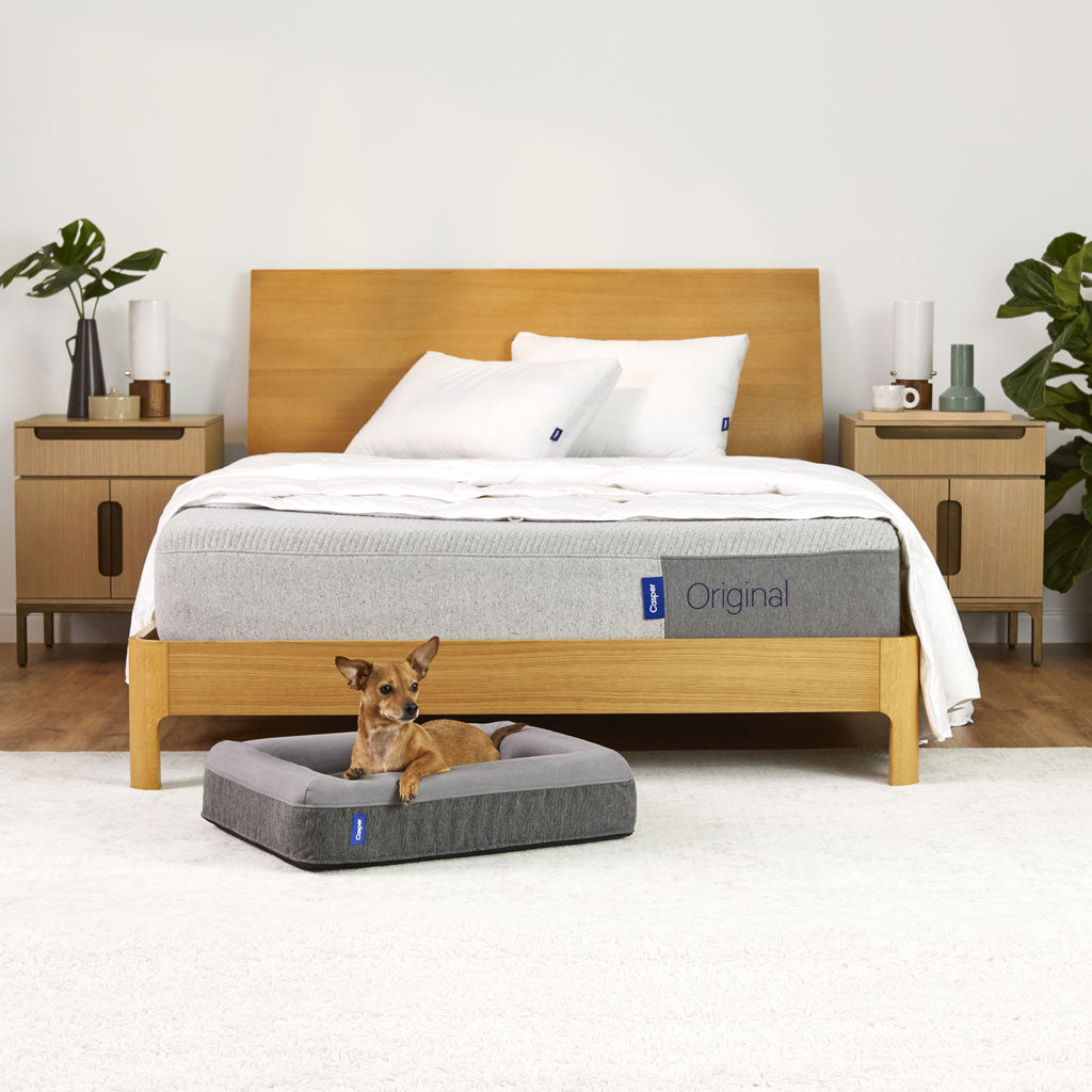 Dog lying on a gray pet bed in front of a wooden bed with white bedding.