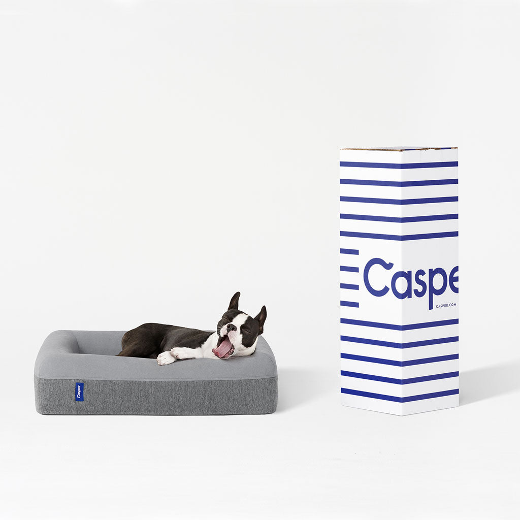 Dog lying on a gray Caspe pet bed with the brand's packaging in the background.