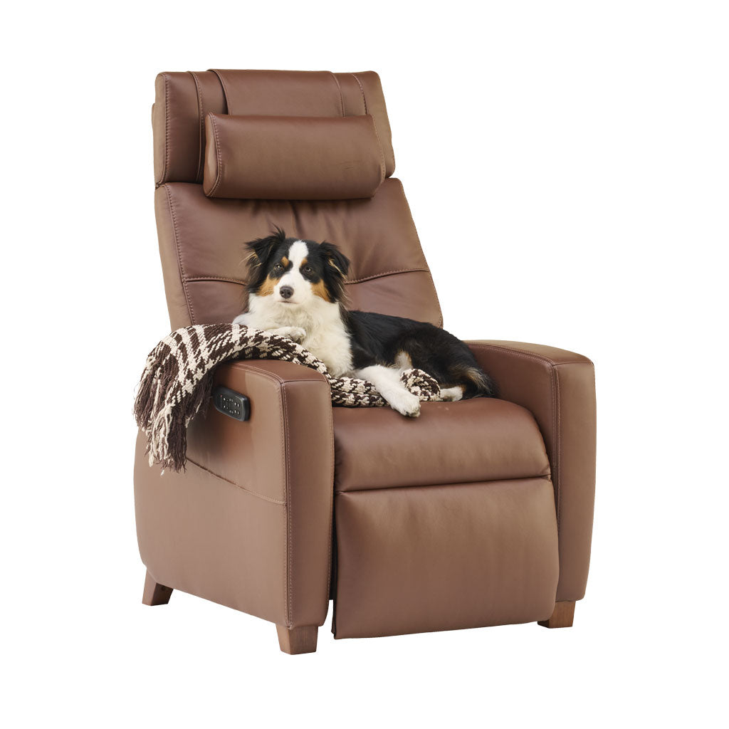 Brown recliner chair with a dog sitting on it, white background