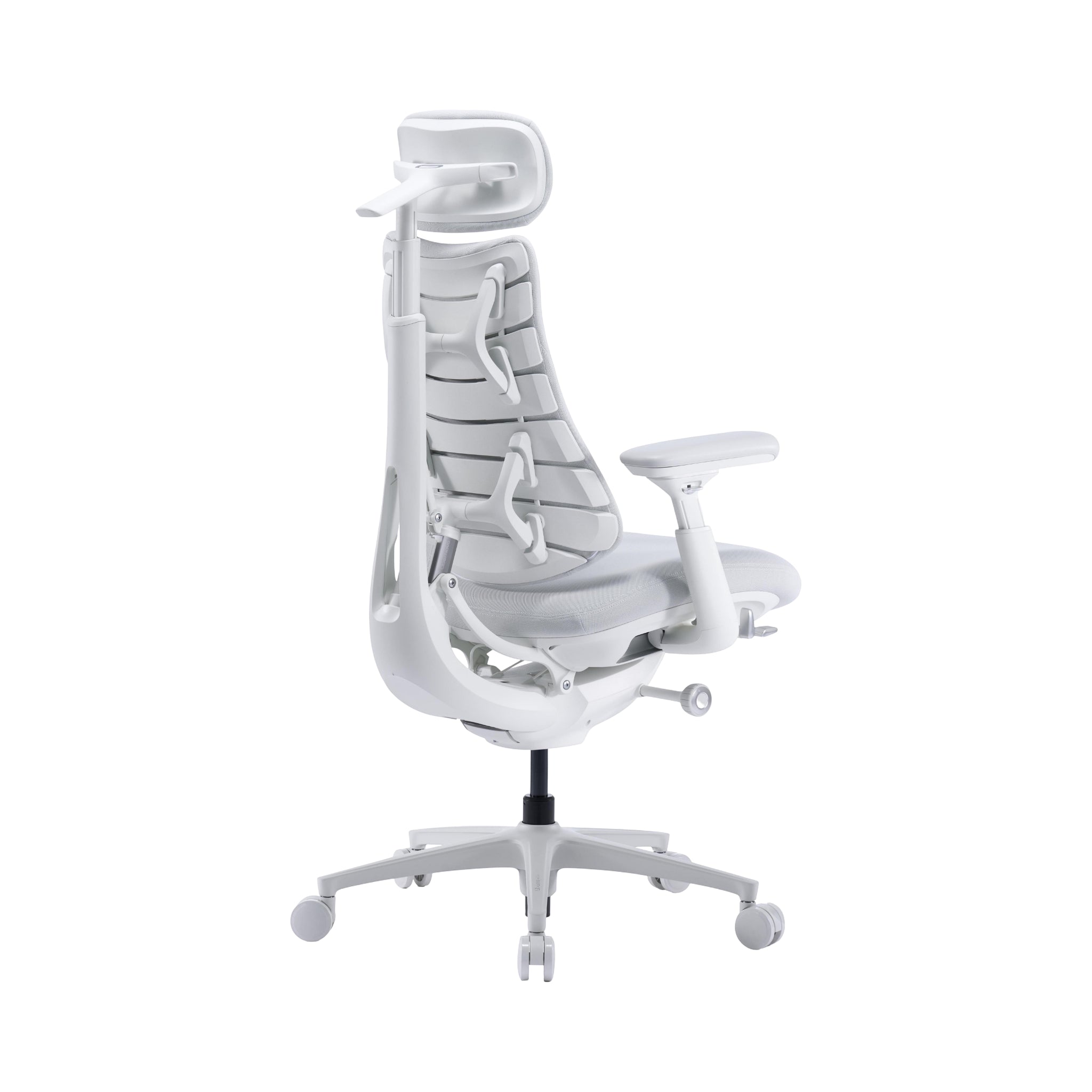 LiberNovo Omni Pro Dynamic Ergonomic Chair