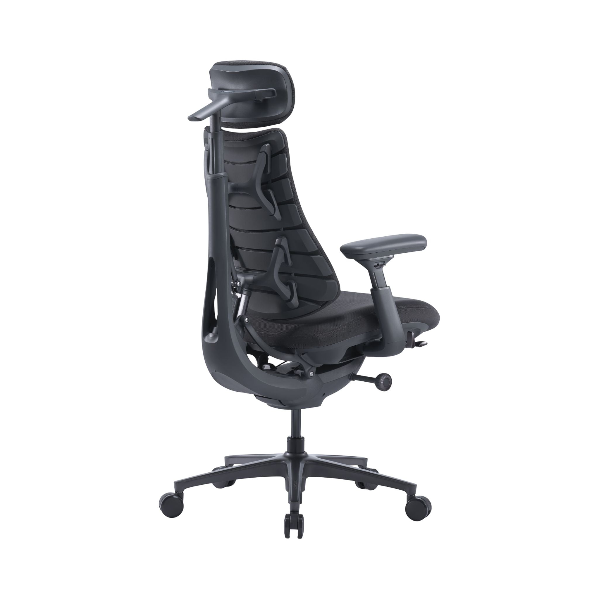 LiberNovo Omni Pro Dynamic Ergonomic Chair | Premium Adaptive