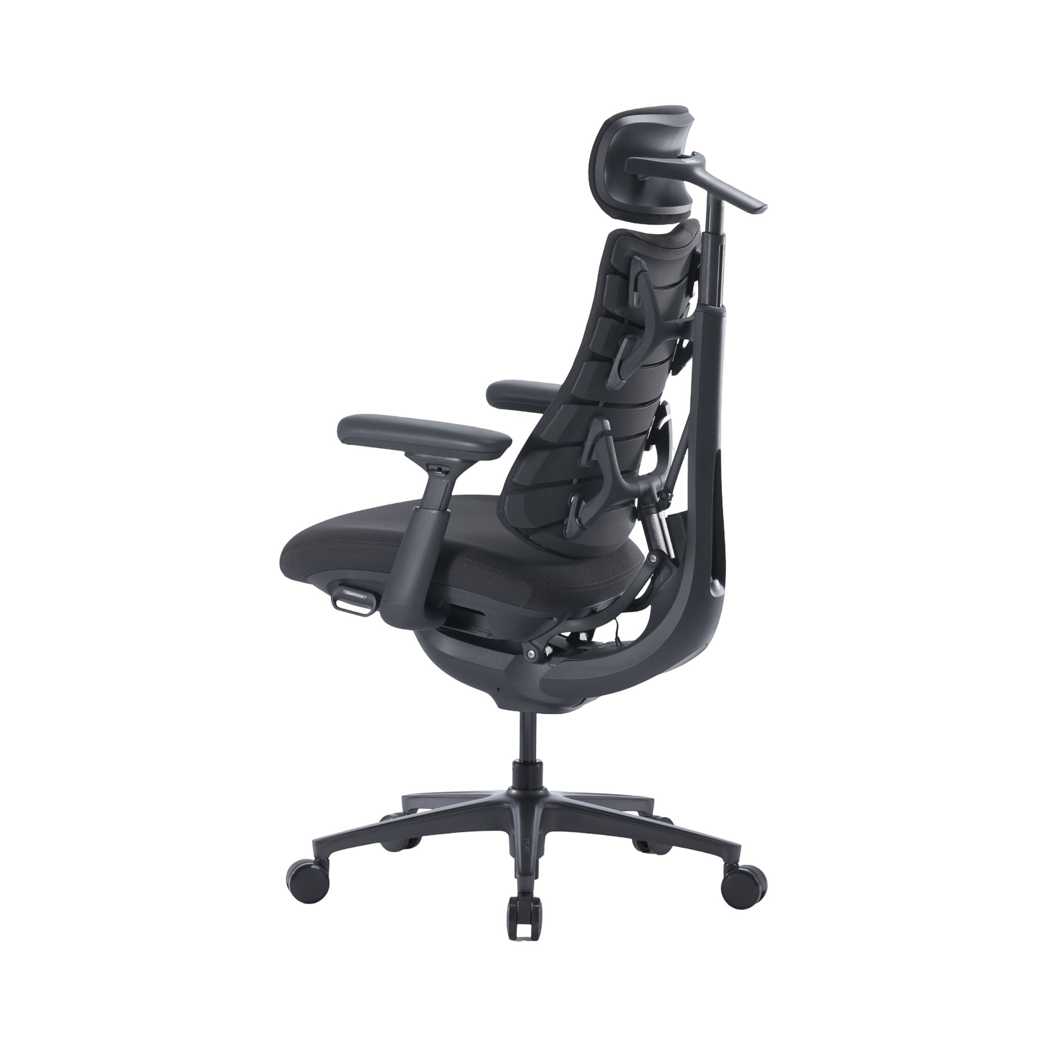 LiberNovo Omni Pro Dynamic Ergonomic Chair | Premium Adaptive