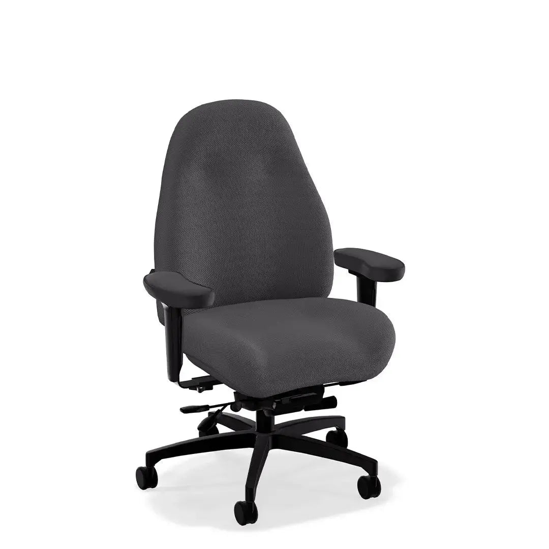 Mid Back Ultimate Executive Office Chair in DreamWeave™ Power Play Fabric LIFEFORM®