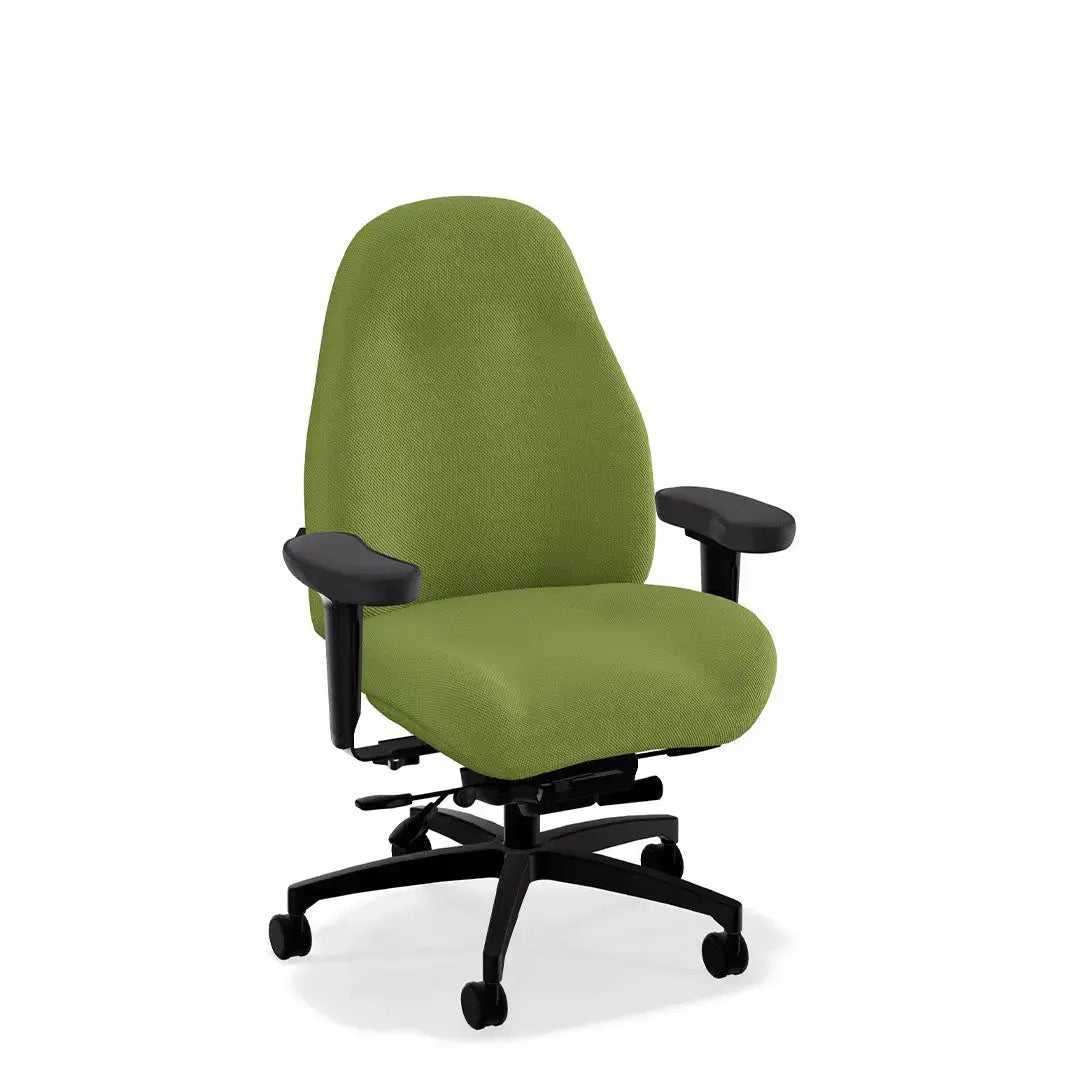 Mid Back Ultimate Executive Office Chair in DreamWeave™ Power Play Fabric LIFEFORM®