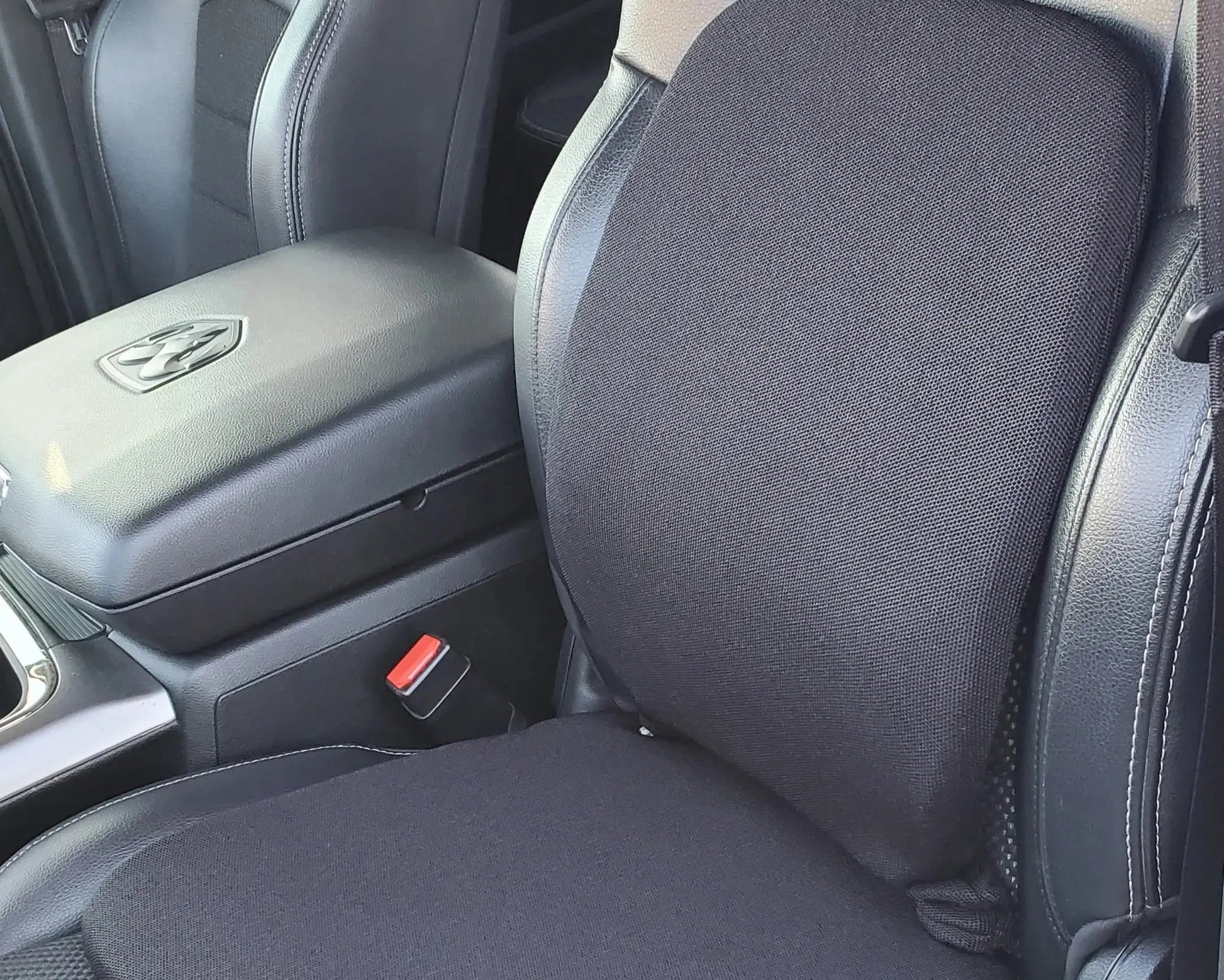 Premium Sacro-Ease Back Support in black.