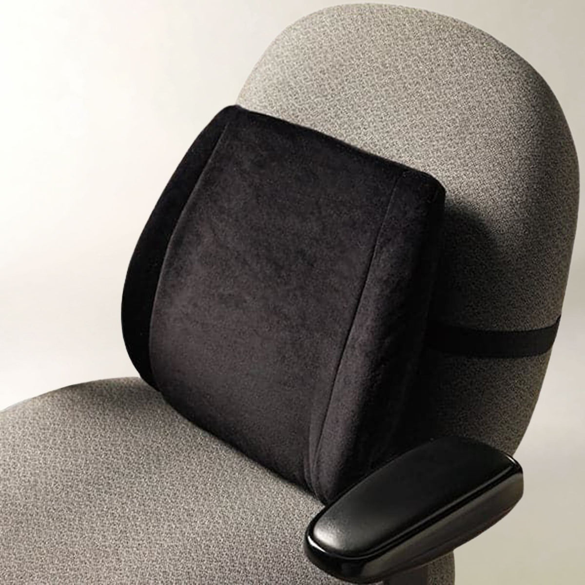 Contour Back Support Cushion