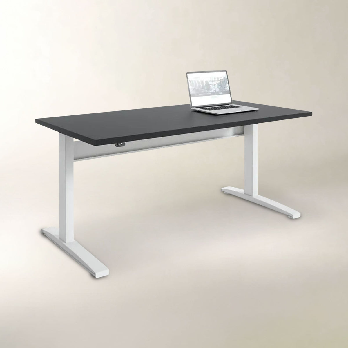 Transcend Sit to Stand Desk