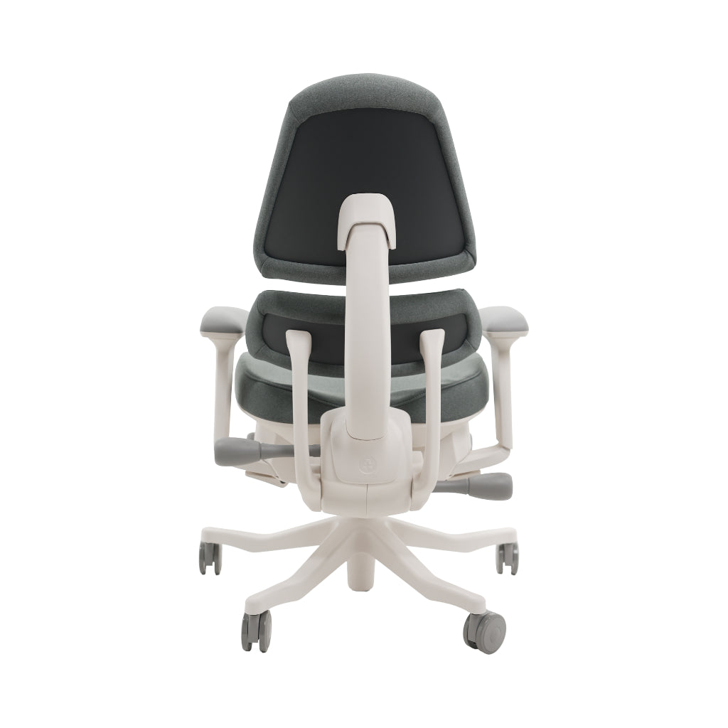 An ergonomic office chair with a high back, adjustable armrests, and a four-wheel base, shown from a rear angle on a white background.