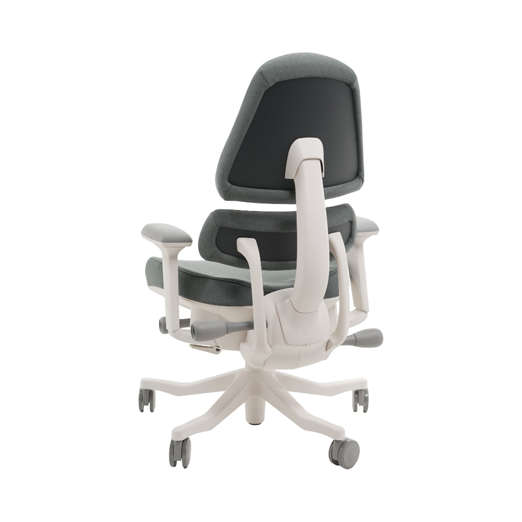 An ergonomic office chair with a high back, adjustable armrests, and a four-wheel base, shown from a rear angle on a white background.