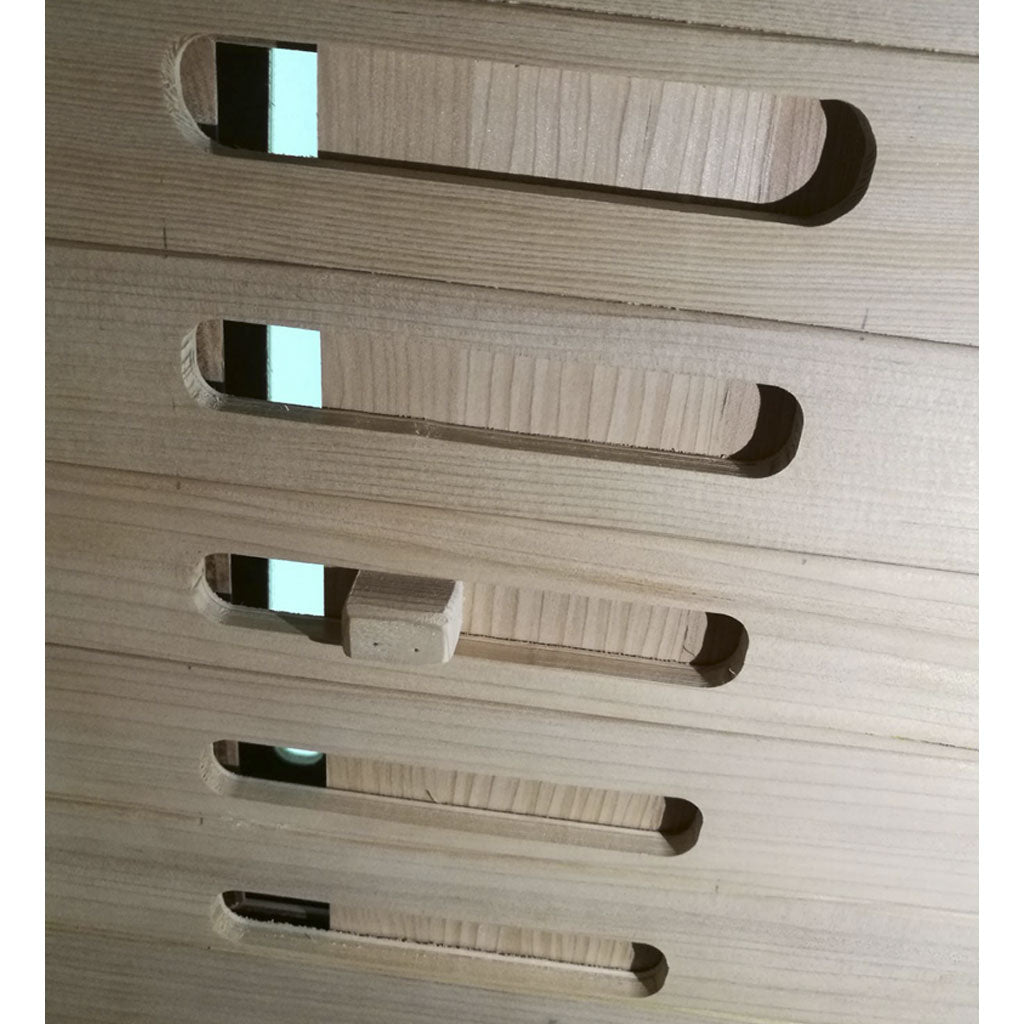 2 Person Infrared Sauna with Salt Bar