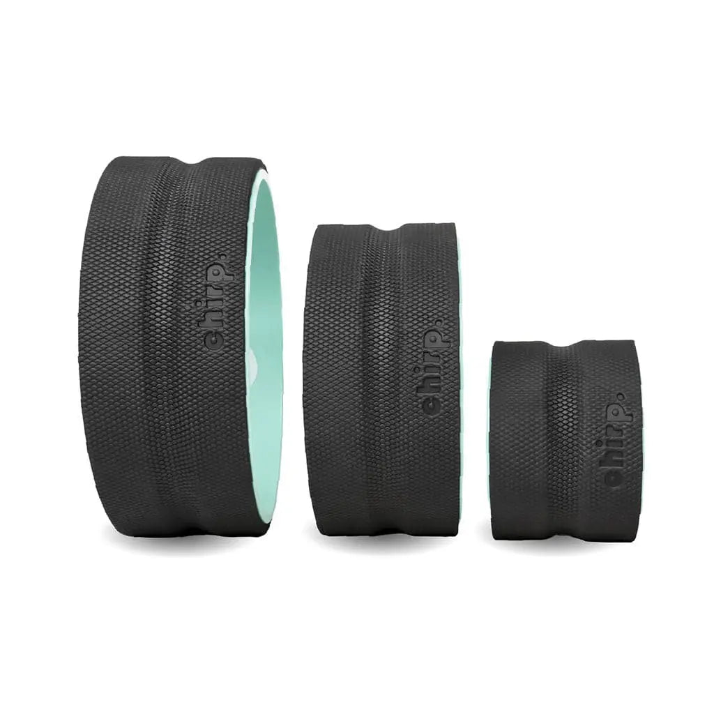Chirp Wheel+ - Thumbnail 3
