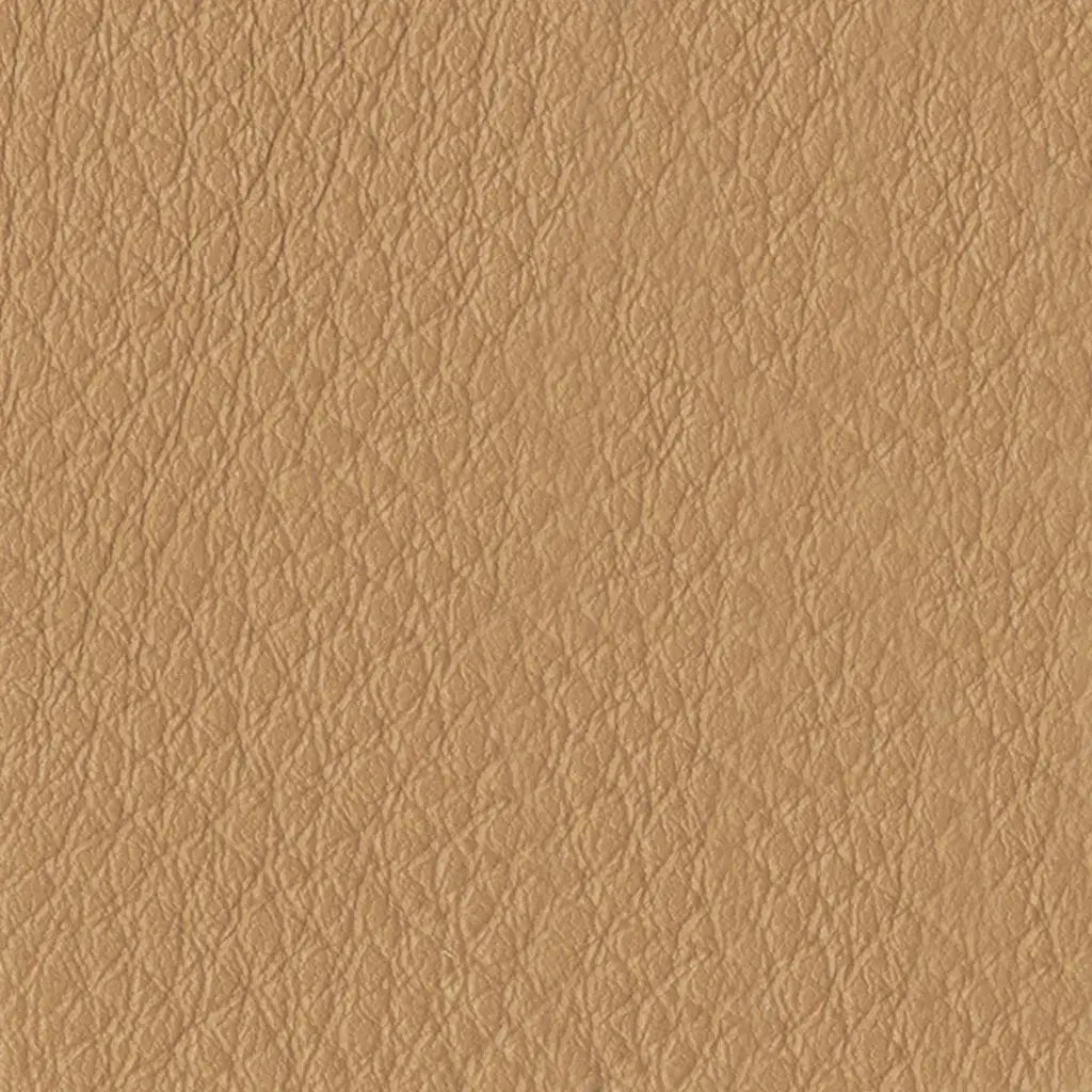 <Swatch:Color:Mayan>