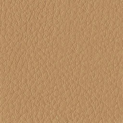 <Swatch:Color:Mayan>