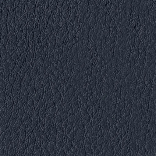 <Swatch:Color:Indigo>