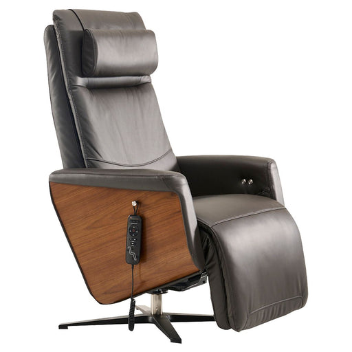 Ergonomic Modern Leather Recliners - The Back Store